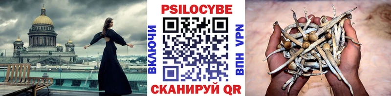 Псилоцибиновые грибы Cubensis  Пласт 